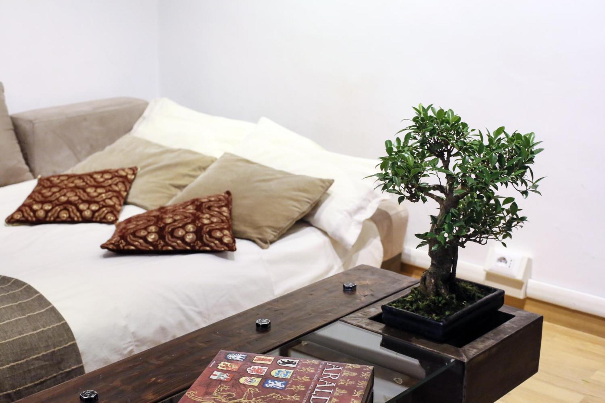 Home Domus Borgo Pio - San Pietro Рим Экстерьер фото